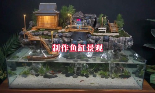 六个月宝宝一到晚上就发烧-6个月小孩晚上发烧哭闹怎么回事网6个月小孩晚上发烧哭闹怎么回事呀知识网站,分享六月龄宝宝半夜发烧大全
