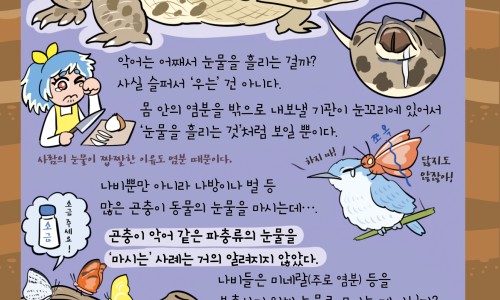 6个月小孩晚上发烧哭闹怎么回事网6个月小孩晚上发烧哭闹怎么回事呀知识网站,分享六月龄宝宝半夜发烧大全